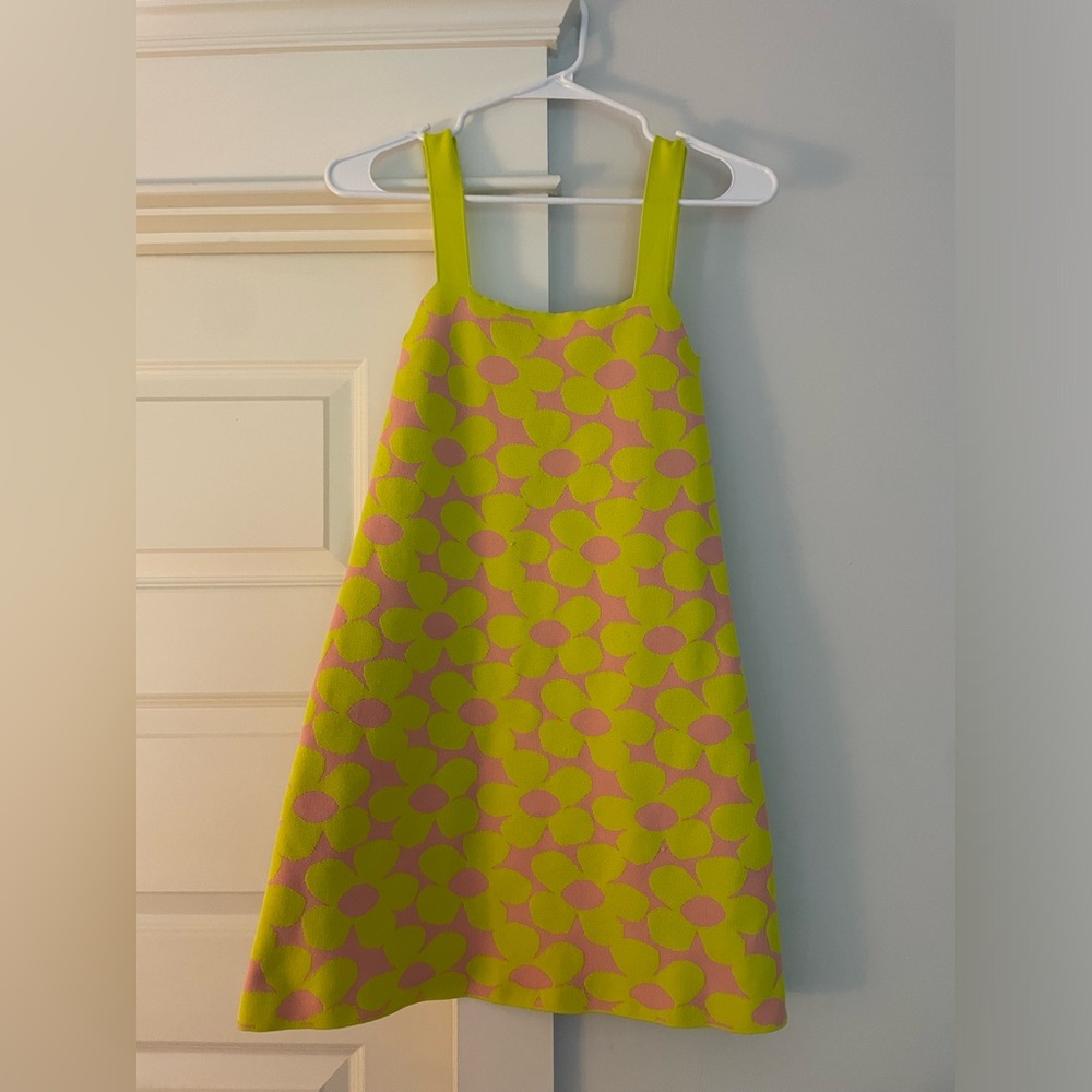 Zara dress